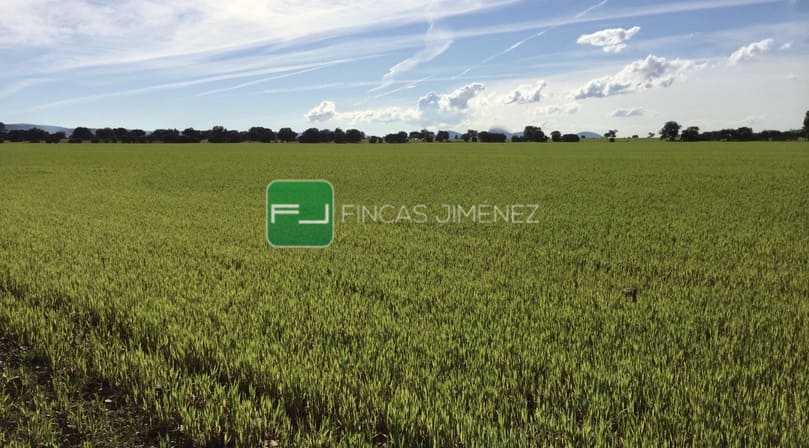 IMAGENES IPHONE 015