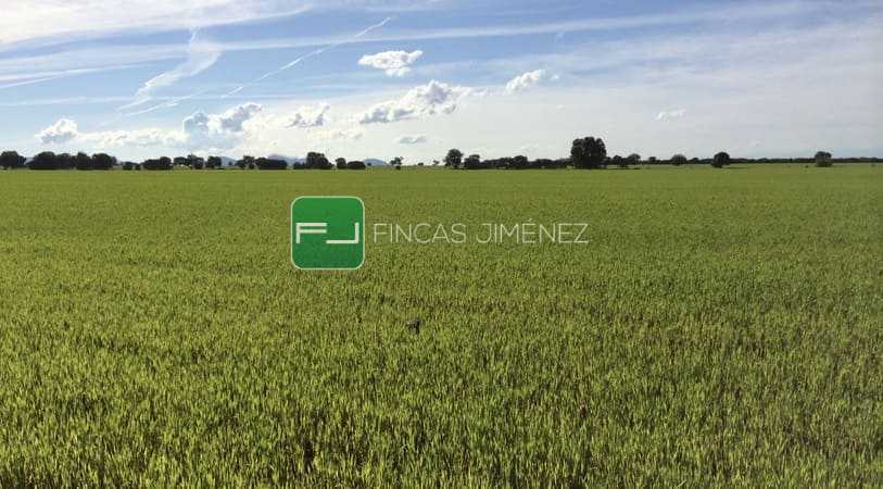 IMAGENES IPHONE 016