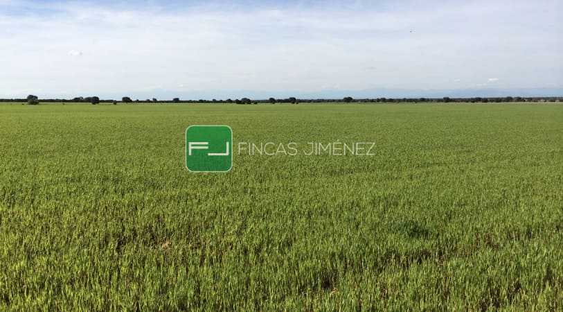 IMAGENES IPHONE 017