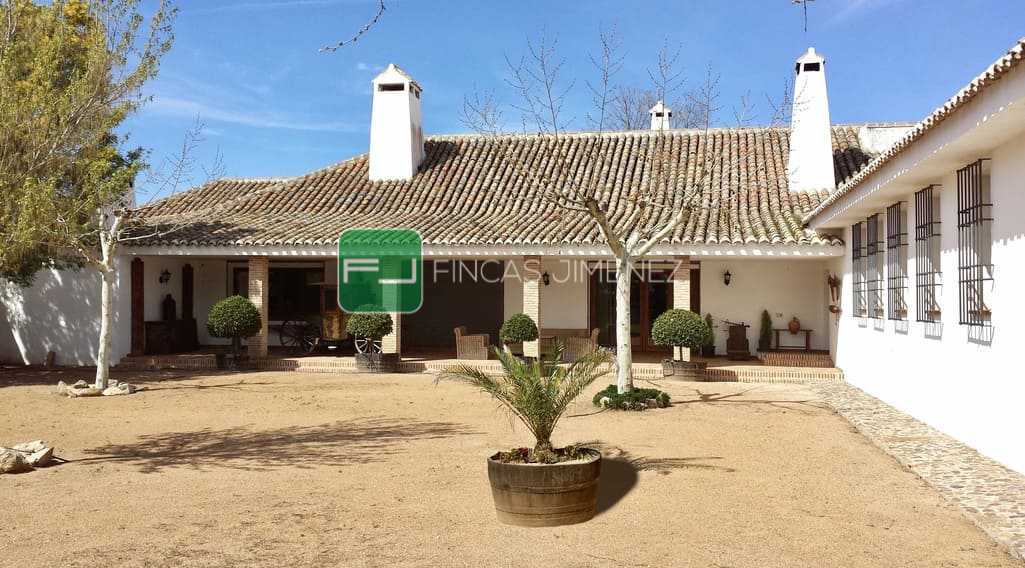 Casa (25)