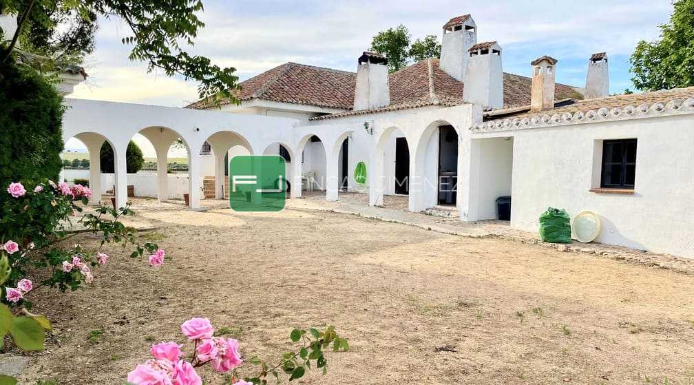 IMG_8341