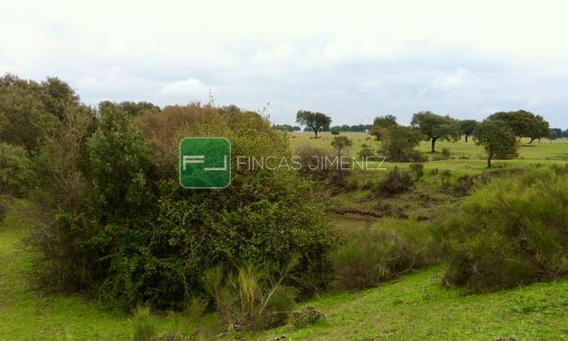 IMAGENES IPHONE 157