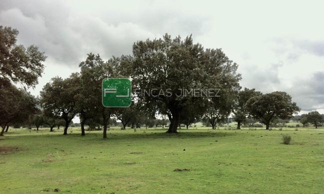 IMAGENES IPHONE 183