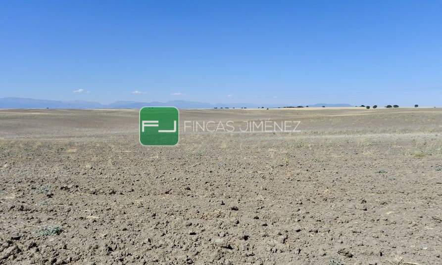 IMAGENES IPHONE 006