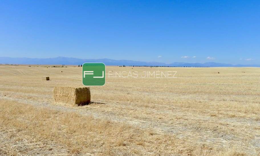 IMAGENES IPHONE 026