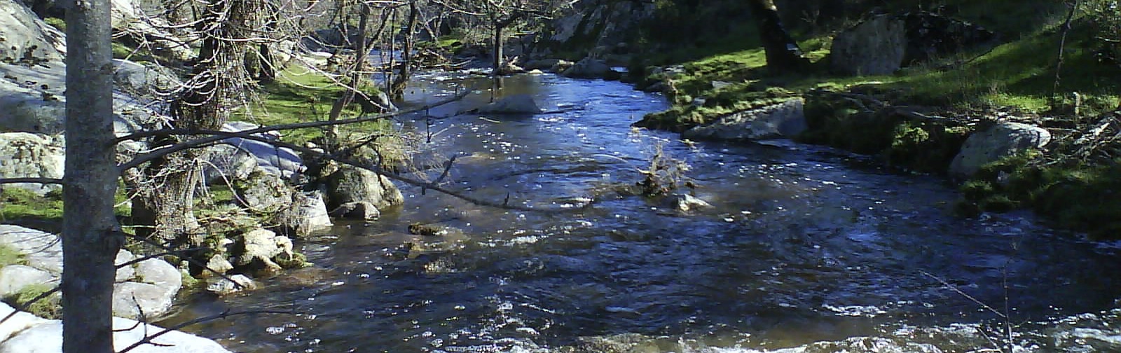 Talavera. Finca Ganadera, Dehesa, Caza mayor y menor a 90 minutos de Madrid